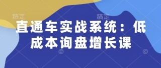 直通车实战系统：低成本询盘增长