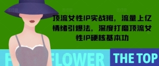 顶流女性IP实战班，流量上亿情绪