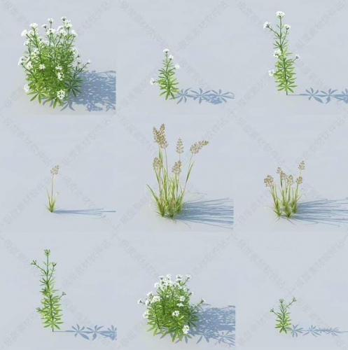 c4d园林景观3d植物花草植被 c4d专业单体精细模型素材库