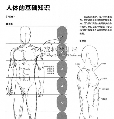 男子动态造型 漫画素描教程 肌肉形体 高清绘画素材 人体参考资料