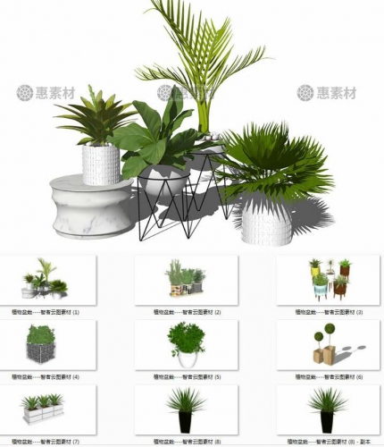 sketchup模型 室内装饰植物盆栽绿植花架花瓶草图大师su模型素材