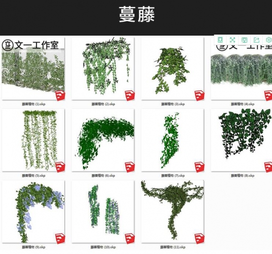 景观园林植物su模型莲花竹子藤曼树木花卉灌木单体草图大师源文件