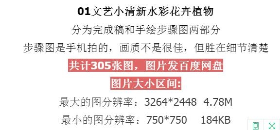 01文艺小清新写实水彩花卉水彩植物水彩花卉手绘教程水彩临摹素材