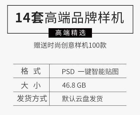 高端企业品牌样机合集logo提案办公场景智能贴图PSD分层设计素材