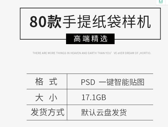 高端购物手提袋纸袋智能贴图样机VI标志展示效果图PSD素材模板