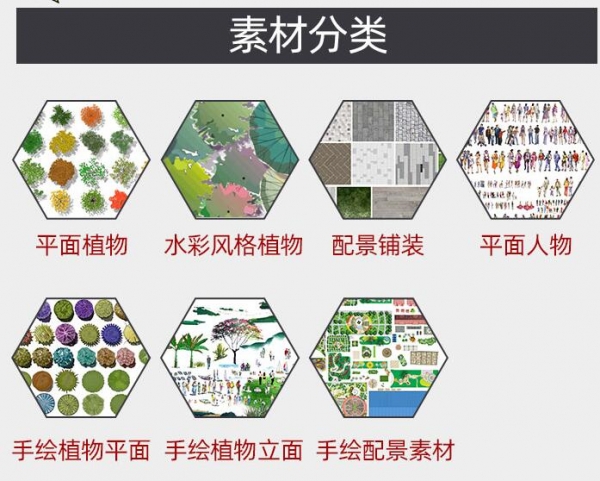 园林景观手绘植物植被彩平图立面图配景铺装PSD源文件PS后期素材