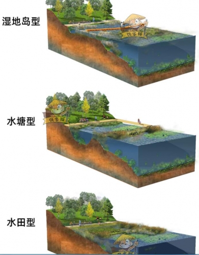 竞赛风海绵城市公园会议中心驳岸类型PSD分层源文件剖面图立面图