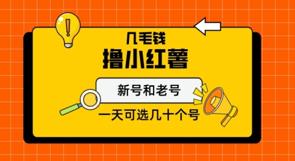 几毛钱撸小红书纯新号和老号，保姆级教程