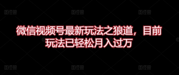 微信视频号最新玩法之狼道，目前玩法已轻松月入过万【揭秘】