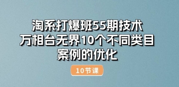 淘系打爆班55期技术：万相台无界10个不同类目案例的优化(10节)