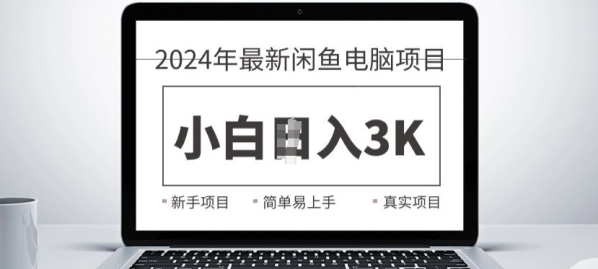 2024最新闲鱼电脑项目，动手就能吃肉的好项目