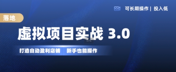 虚拟项目实战3.0，打造自动盈利店铺，可长期操作投入低，新手也能操作