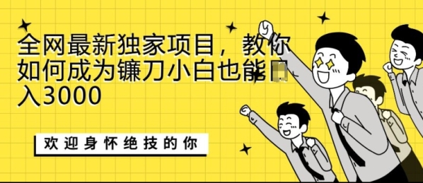 全网最新独家项目，教你如何成为镰刀小白也能日入上K